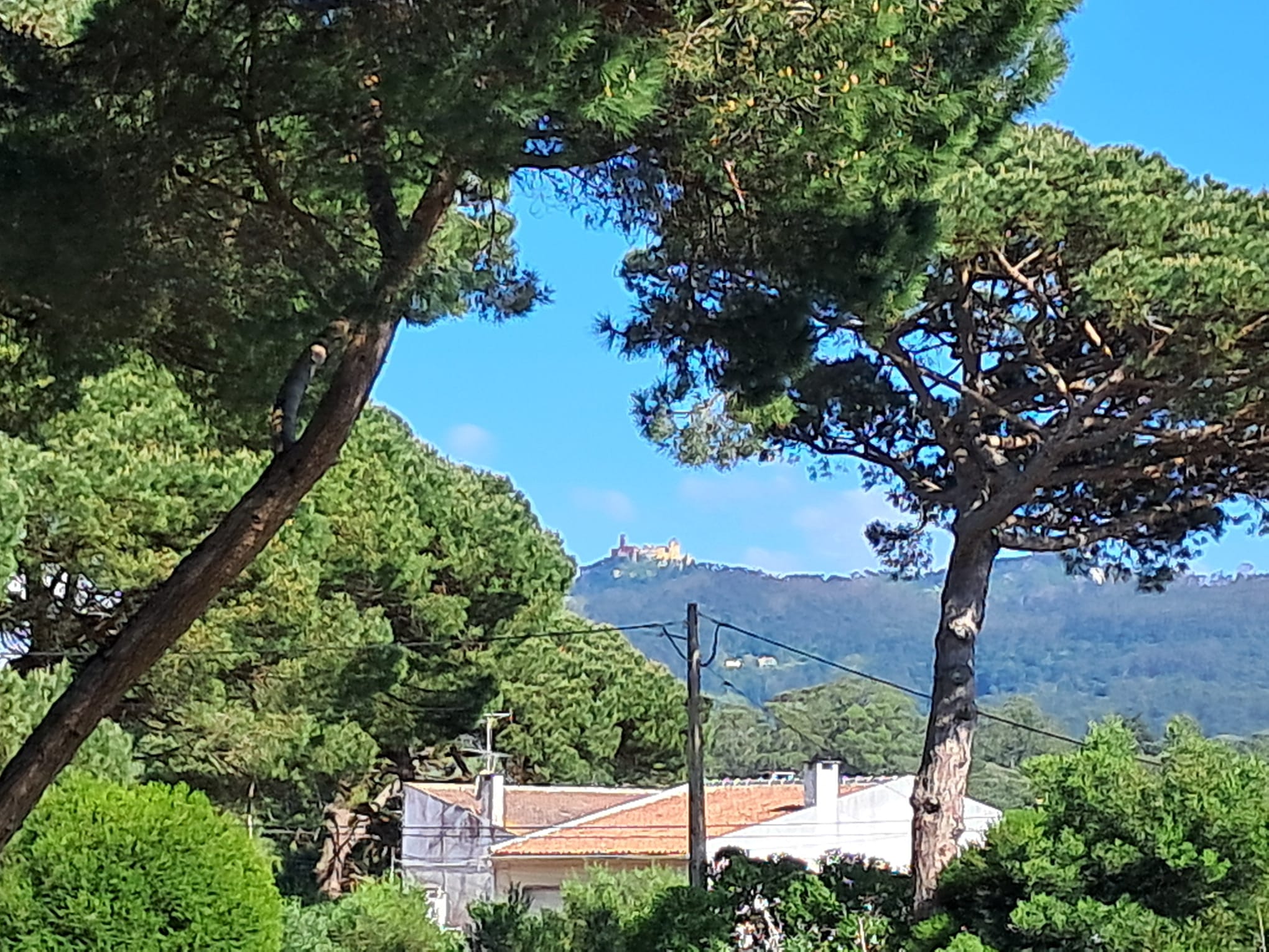 Views of Pena Palace and the mountains between pine trees