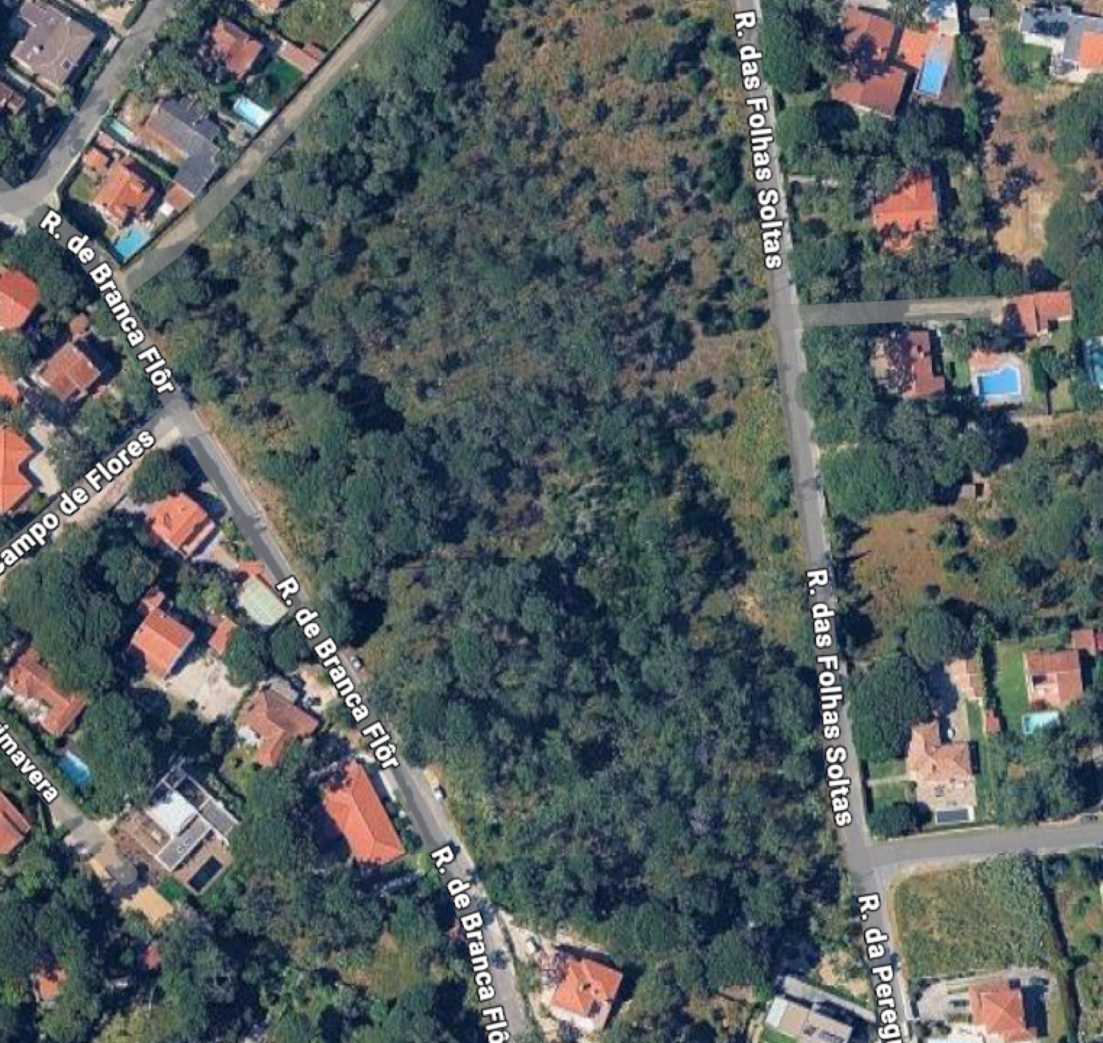 Published aerial view of the Banzão surroundings